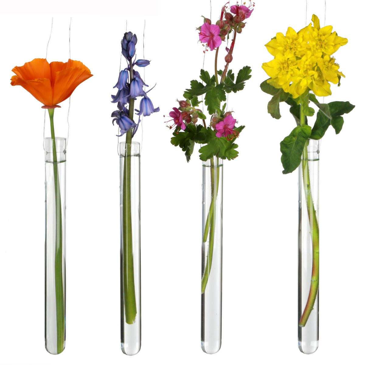 Glass Test tube 2cm diameter 20cm high, with 2 holes (set of 12 pcs)