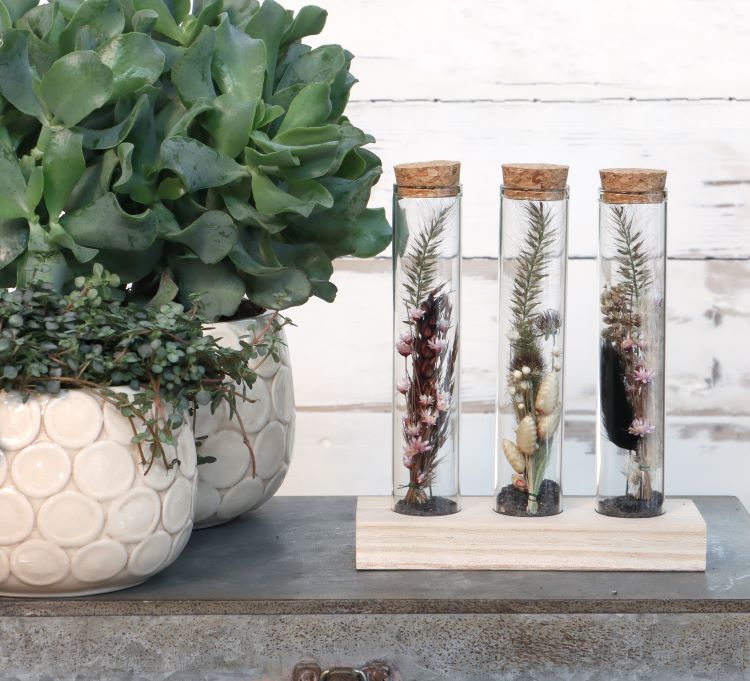 Glass tubes Ø3cm 3 tubes on wooden board - Packlinq