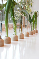 Base en Bois pour Tube à essai, 20x100mm - 1 pc