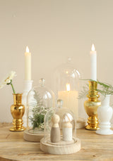 Cloche en verre avec bouton | Ø12 h.18 cm | Base en bois