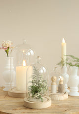 Cloche en verre avec bouton | Ø12 h.18 cm | Base en bois