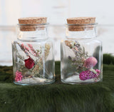 Flacon en verre avec 2 fleurs séchées différentes Ø7cm (12 pièces)
