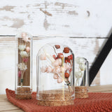 Glass mini stolp Ø2cm and 7cm high with cork - Packlinq