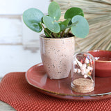 Glass mini stolp Ø4cm and 6cm high with cork - Packlinq