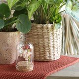 Glass mini stolp Ø4cm and 6cm high with cork - Packlinq