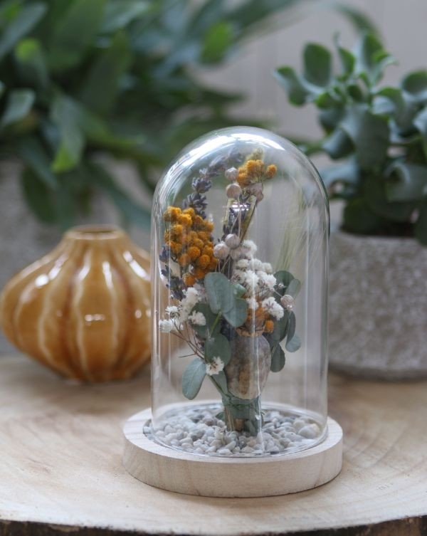 Dôme en verre avec base en Bois,120x160mm - 1 pc