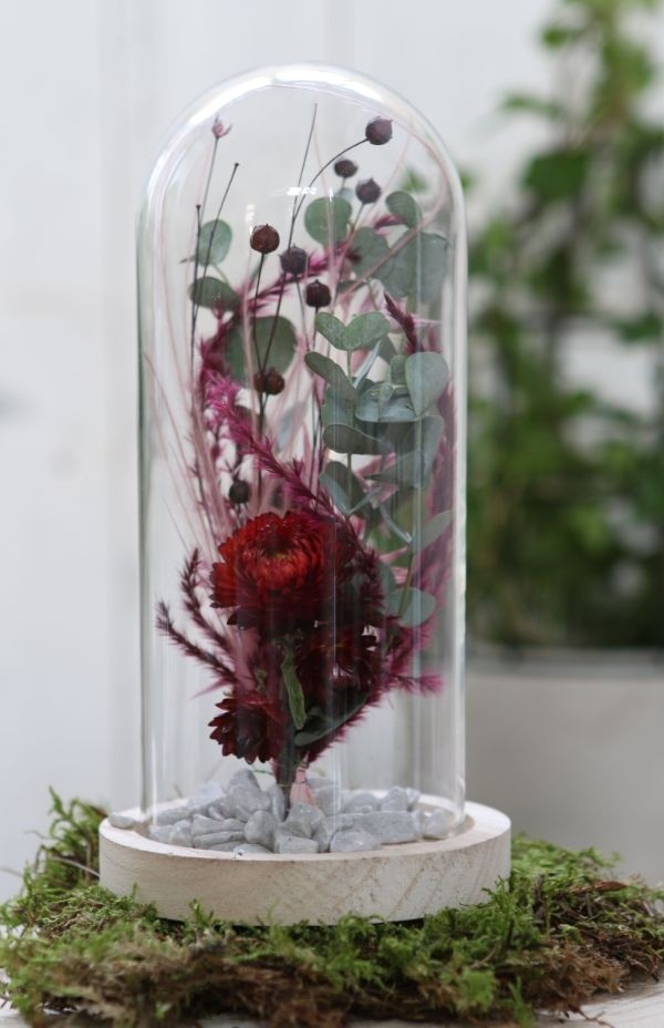 Dôme en verre avec base en Bois,100x200mm - 1 pc