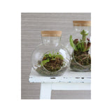 Sphère en verre avec bouchon en liège Ø 14 cm, H. 15 cm - 1 pièce