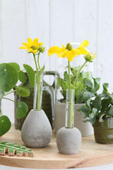 Base de ciment avec tube à essai en verre, 60x150mm - 1 pc