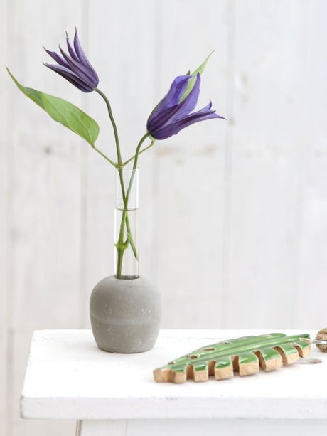 Cement Base with Glass Test Tube 60x150mm 