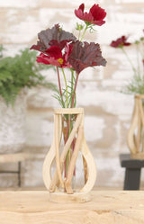 Tube à essai avec support en bois flotté, petit format (1 pièce)