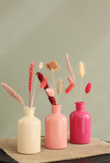 Bouteilles en verre Ø70 h: 120 mm  Assorti Rose - 12 Pcs