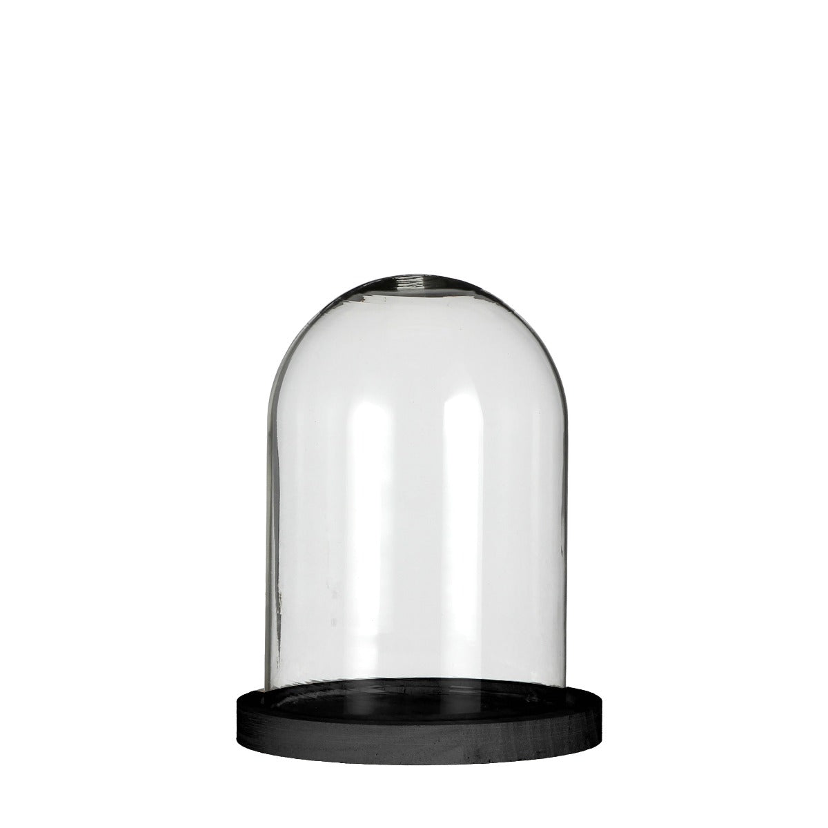 Glass bell jar with black wooden base Ø12cm H.16cm 