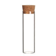 Glass Tube with cork 30x100mm 