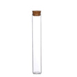 Glass Tube with cork 30x200mm 