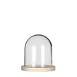 Glass Dome with Wooden Base 120x130mm 