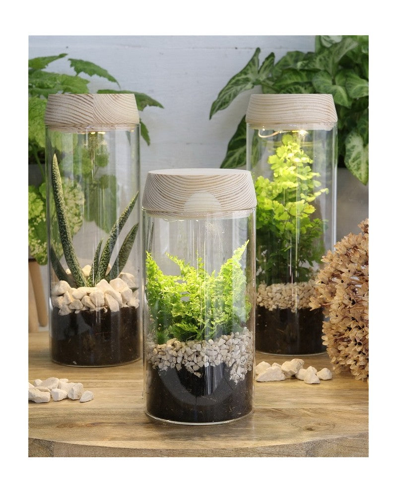 Tube à essai Ø80 h: 180 mm w. couvercle en liège solaired - 1 pc