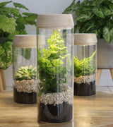 Cylindre en verre avec LED dans un couvercle en bois 23 cm de haut - 1 pièce