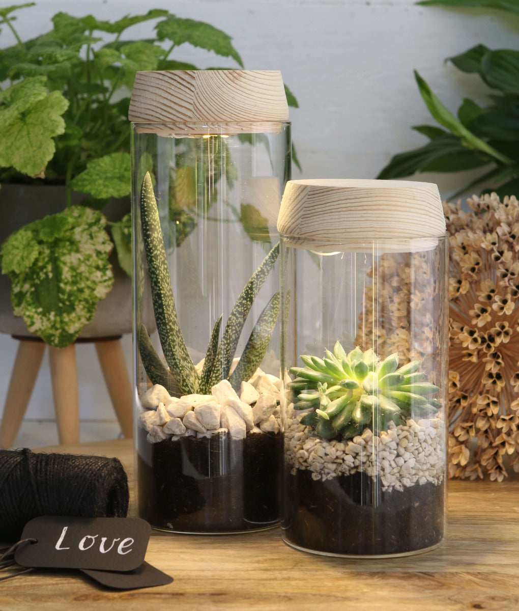 Cylindre en verre avec LED dans un couvercle en bois 23 cm de haut - 1 pièce