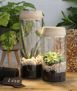 Cylindre en verre avec LED dans un couvercle en bois 23 cm de haut - 1 pièce