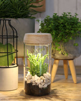 Cylindre en verre avec LED dans un couvercle en bois 18 cm de haut - 1 pièce