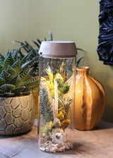 Cylindre en verre avec LED dans un couvercle en bois 23 cm de haut - 1 pièce