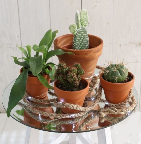 Plateau en Miroir rond, Ø40cm bord biseauté (1 pc)