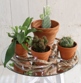 Plateau en Miroir rond, Ø40cm bord biseauté (1 pc)