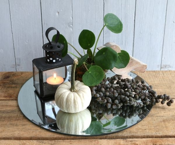 Plateau en Miroir rond, Ø30cm bord biseauté (1 pc)