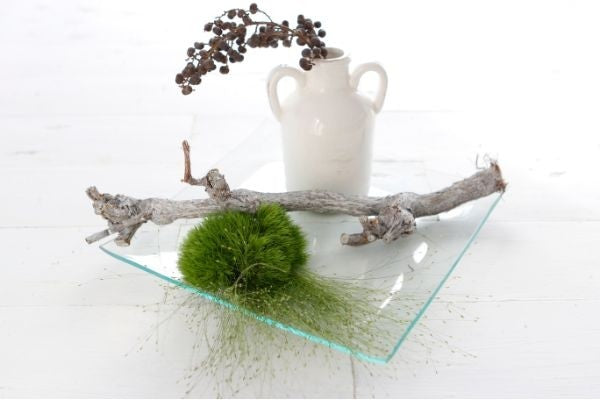 Plateau en verre carrée, 25x25x2cm d'épaisseur (1 pc)