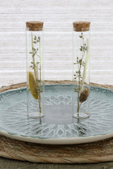 Glass tube with several dried flowers natural 15cm high - Packlinq
