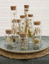 Glass tube with several dried flowers natural 12.5cm high - Packlinq