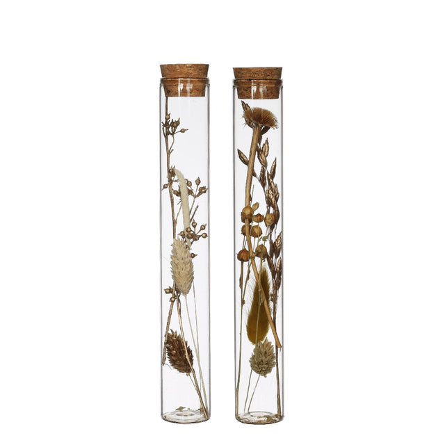 Glass tube with several dried flowers natural 20cm high 