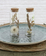 Glass tube with several dried flowers natural 12.5cm high - Packlinq