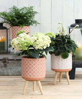 Pot de fleur Terra en ciment avec pieds en bois, hauteur 21,5 cm - 6 pièces