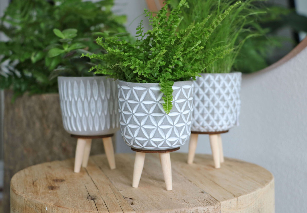 Plant pot Cement with wooden legs 11cm high - Packlinq
