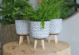 Plant pot Cement with wooden legs 11cm high - Packlinq