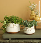 Pot avec verres or Ø85 h: 65 mm - 6 Pcs