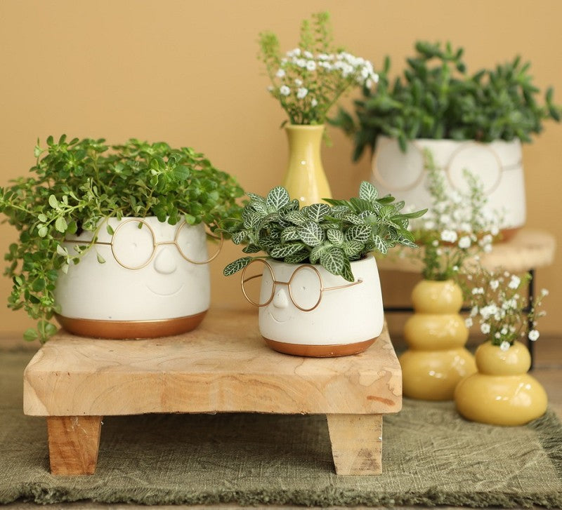 Pot avec verres or Ø120 h: 90 mm - 6 Pcs