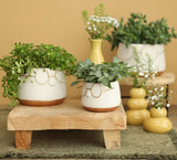 Pot avec verres or Ø120 h: 90 mm - 6 Pcs