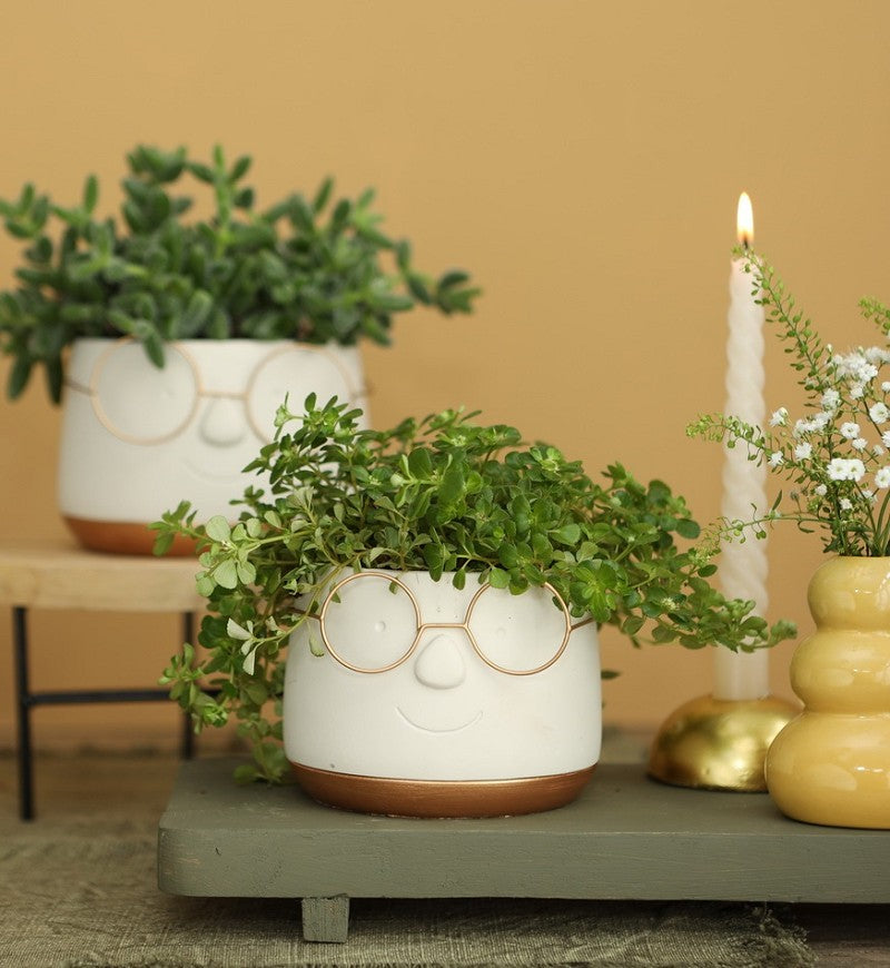 Pot avec verres or Ø120 h: 90 mm - 6 Pcs