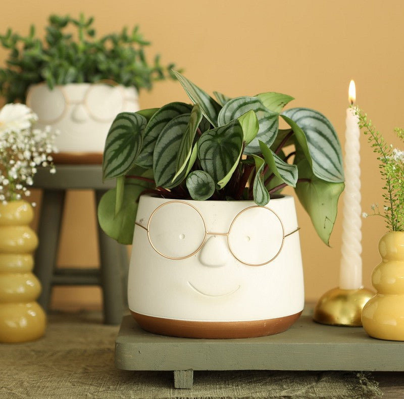 Pot avec verres or Ø135 h: 105 mm - 6 Pcs