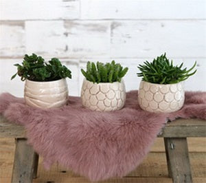 Plant pot Mila craquele glaze Cream 7cm high - Packlinq