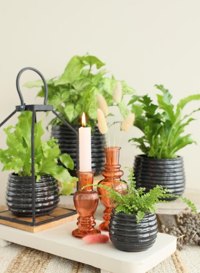 Pot Noir Anthracite Rise Ø65 x h: 80 mm - 12 Pcs