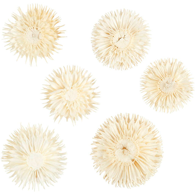 Dried flower heads, D: 3