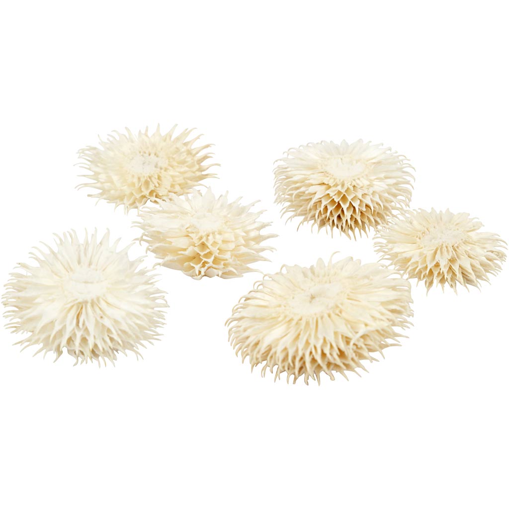 Fleurs séchées es, P: 3-5 cm, 6 pc/ 1 paquet
