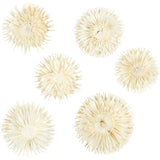 Fleurs séchées es, P: 3-5 cm, 6 pc/ 1 paquet