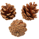 pine cones 40mm 