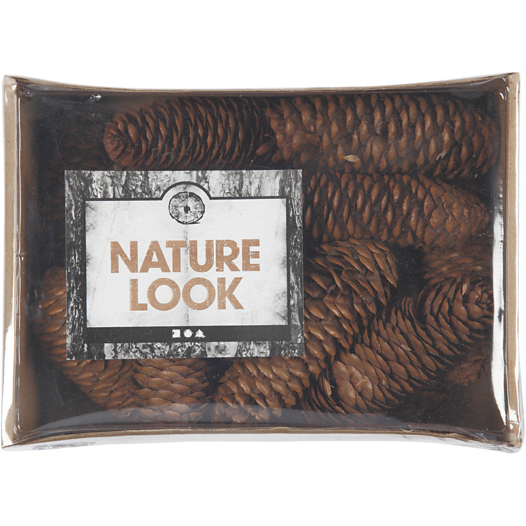 Pomme de pin, Abi40mm - 300g +- 14 pcs