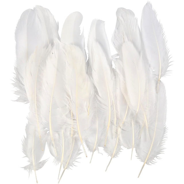 Feathers, approx. 15 cm, white, 70pcs